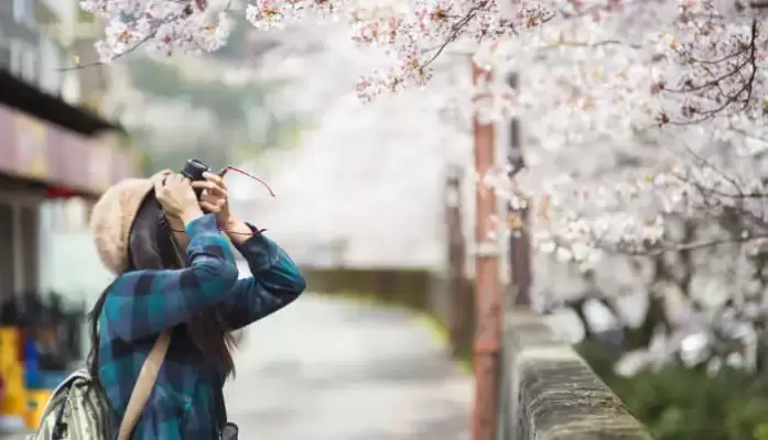 is japan safe to travel alone