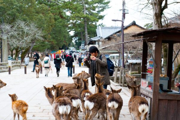 things to do in Japan with kids